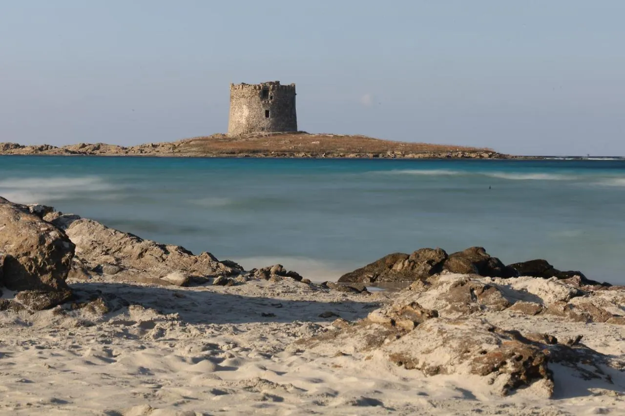 Apartment Appartamento Del Li-Lioni Di Teranga Platamona